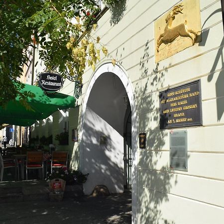 Akzent Hotel Goldner Hirsch Каменц Екстериор снимка